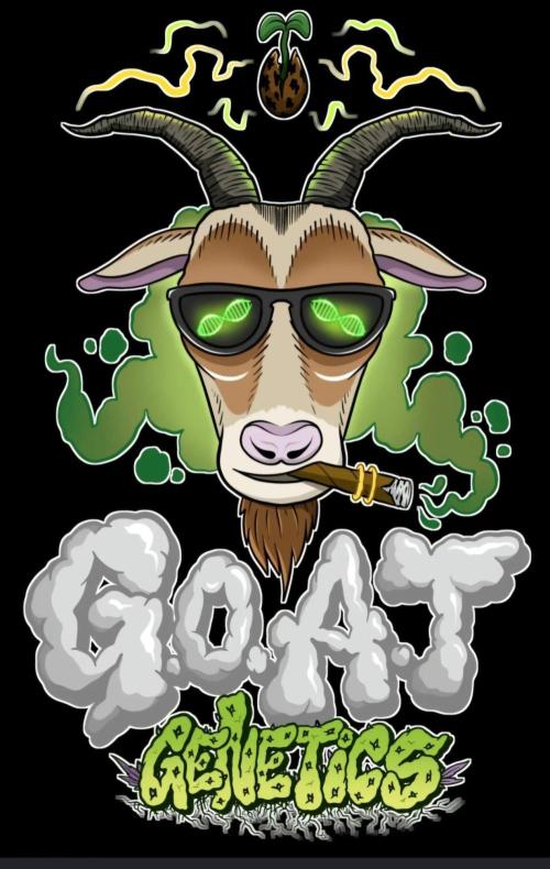 G.O.A.T Collaboration testers.. Week 2