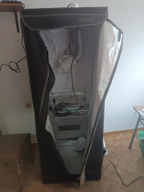 Dialing It In – Ripper & Kosher. Week 3 - My setup, been running for 3 years