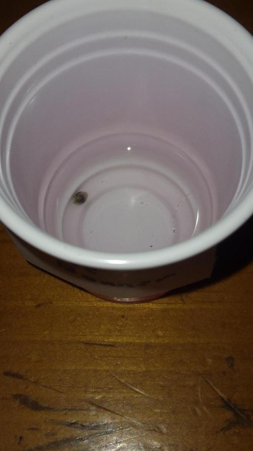 Bruce Banner. Week 0