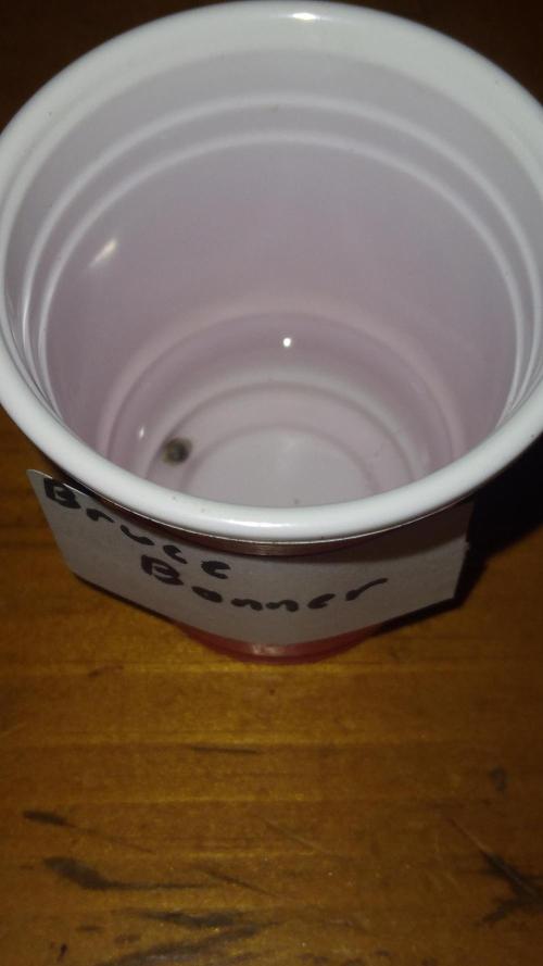 Bruce Banner. Week 0