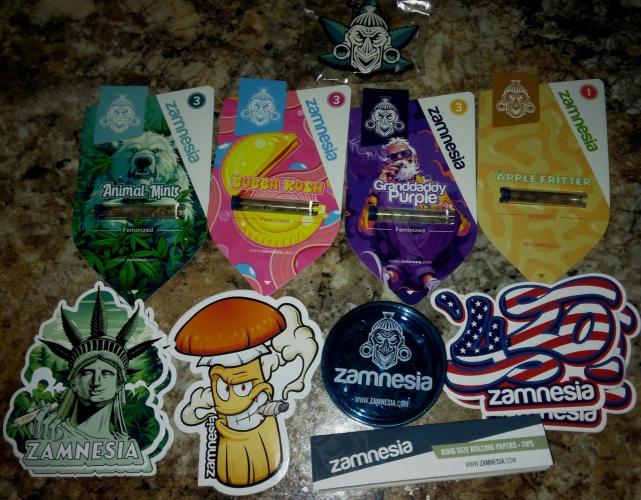 Animal Mints #3. Week 0