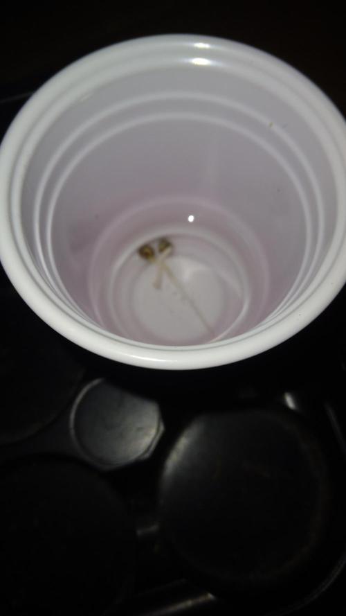 Auto AK-47 XL. Week 0