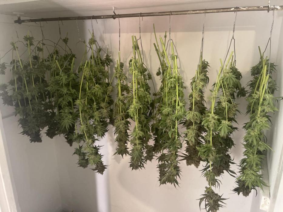 💧 Elementz 🔥. Week 14