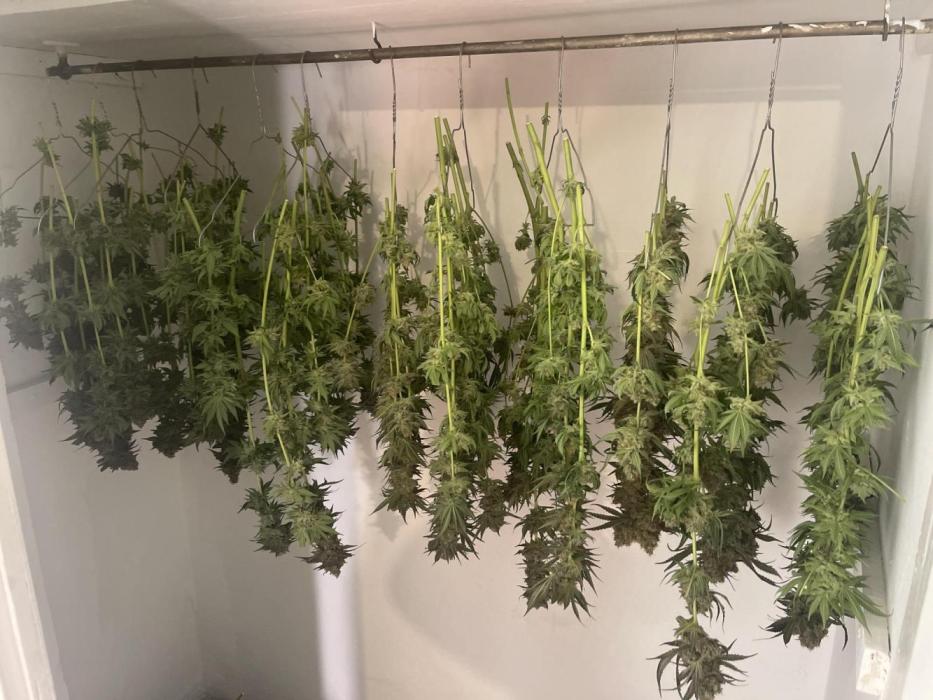 🍬 Runtzez 🍬. Week 14