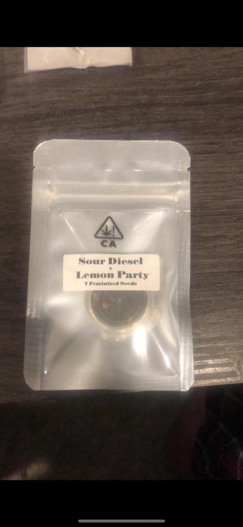 Sour Diesel x Lemon Party. Week 0