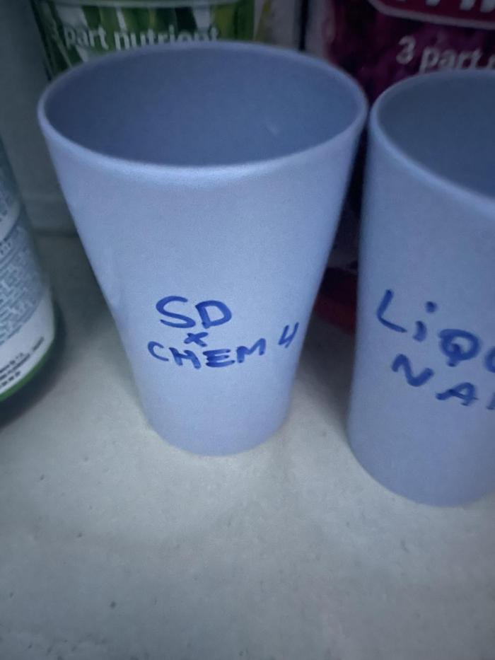 Sour Diesel x Chemdog #4. Week 0