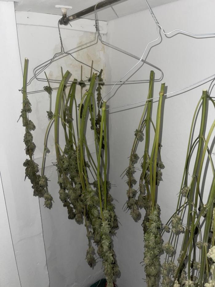 Blueberry Pancakes. Week 15