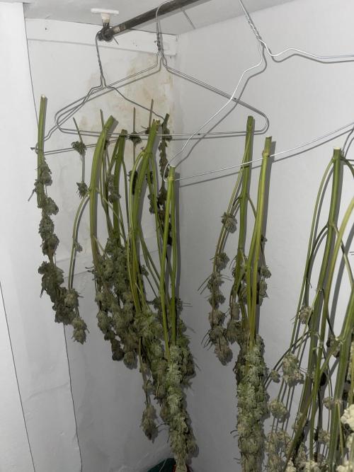Blueberry Pancakes. Week 15