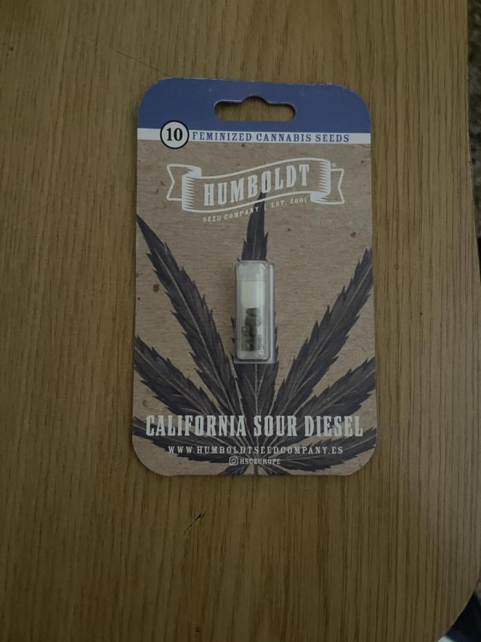 Cali Sour D. Week 0
