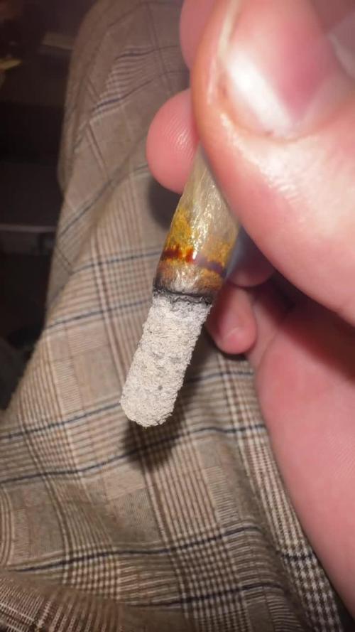 First grow aka teach me