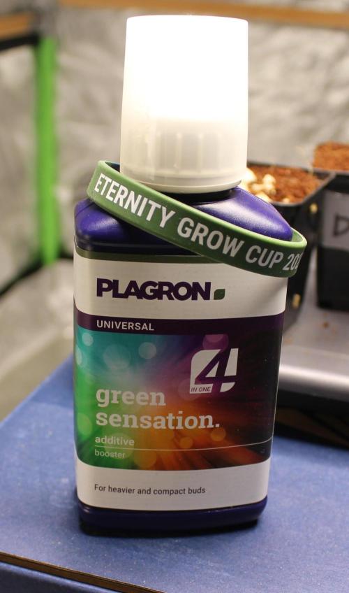 Vegan cooking. Week 0