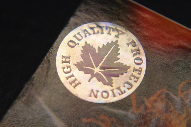 Divine Rapier. Week 0