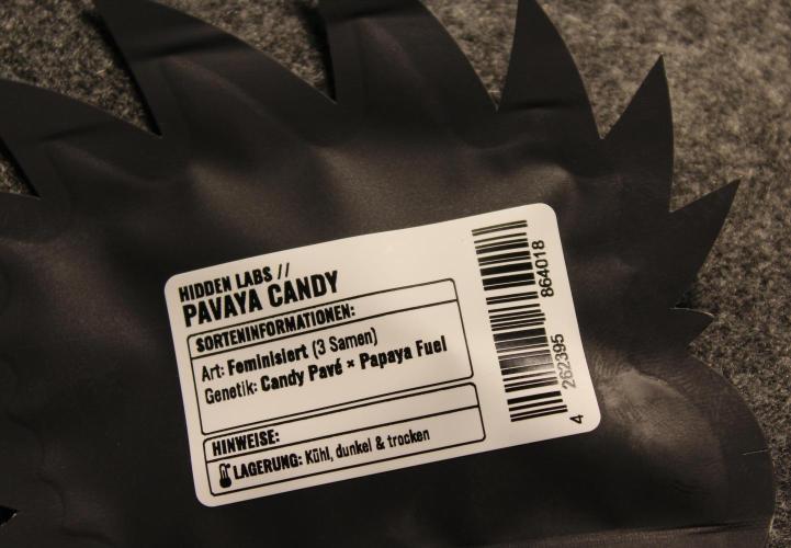 Pavaya Candy / Hidden Labs. Week 0