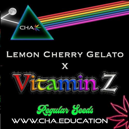 Phenohunting N1/2026 LCG x Vitamin Z. Week 0