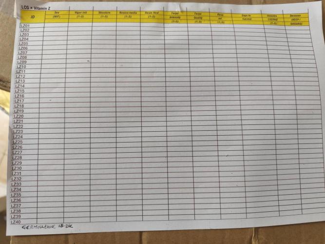 Phenohunting N1/2026 LCG x Vitamin Z. Week 0