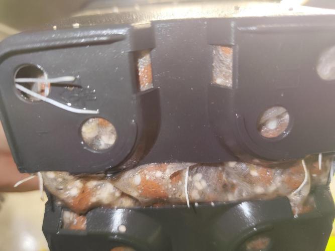 Hydro 🦄Cup-line. Week 3