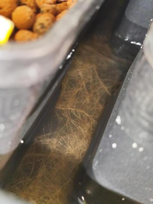 Hydro 🦄Cup-line. Week 6