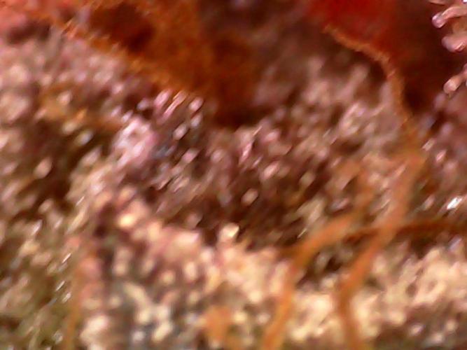 Hydro 🦄Cup-line. Week 10