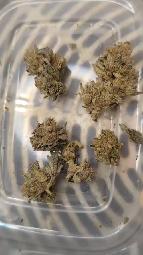Hydro 🦄Cup-line