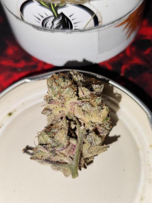 Hydro 🦄Cup-line. Week 11