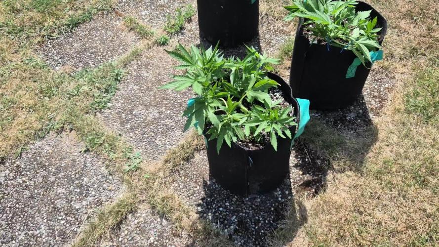 Outdoor Fastbuds grow 2026
