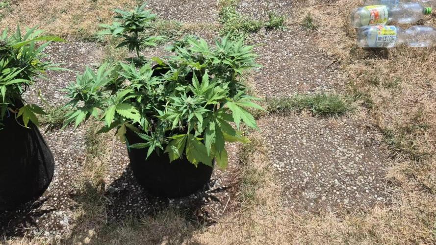 Outdoor Fastbuds grow 2026