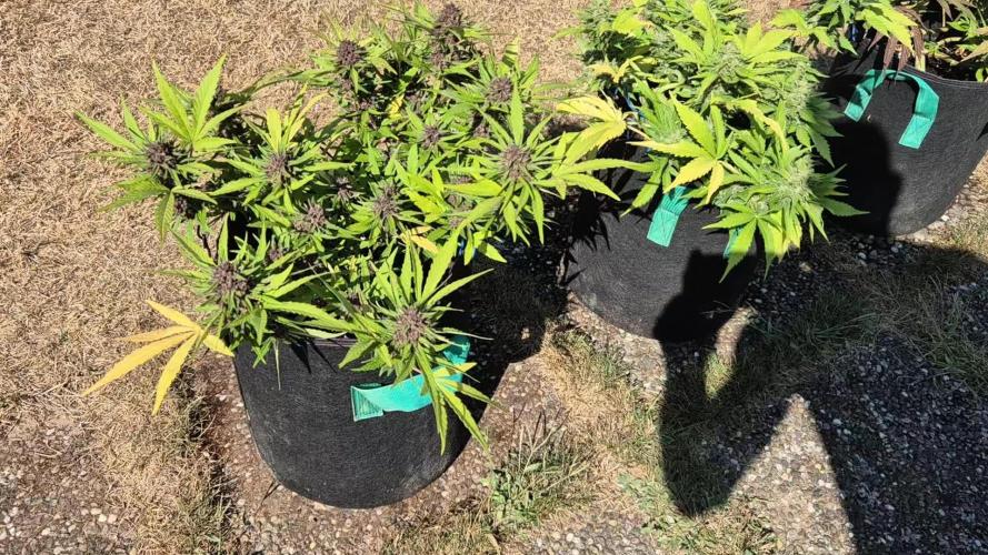 Outdoor Fastbuds grow 2026