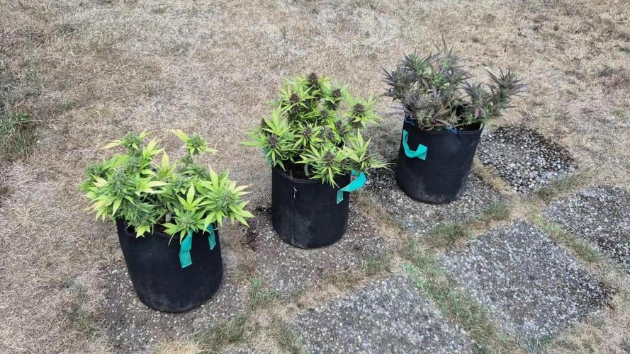 Outdoor Fastbuds grow 2026