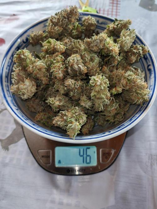 From the fridge. Week 10