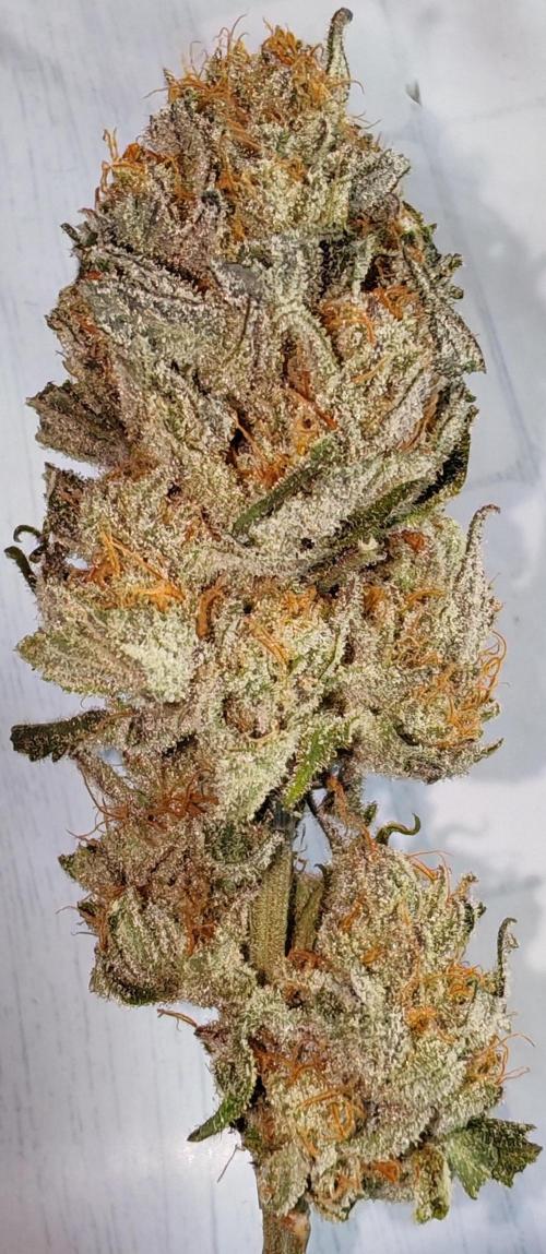From the fridge. Week 10