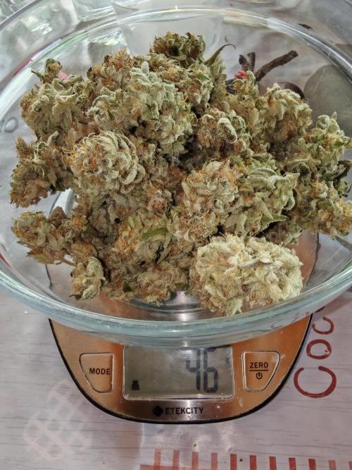 From the fridge. Week 10