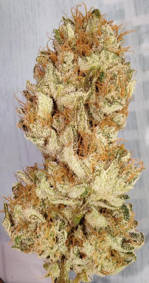 From the fridge. Week 10