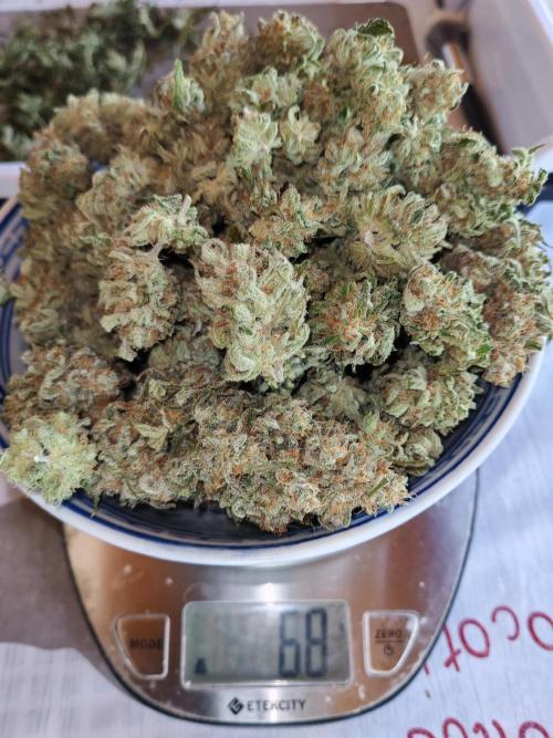 From the fridge. Week 10