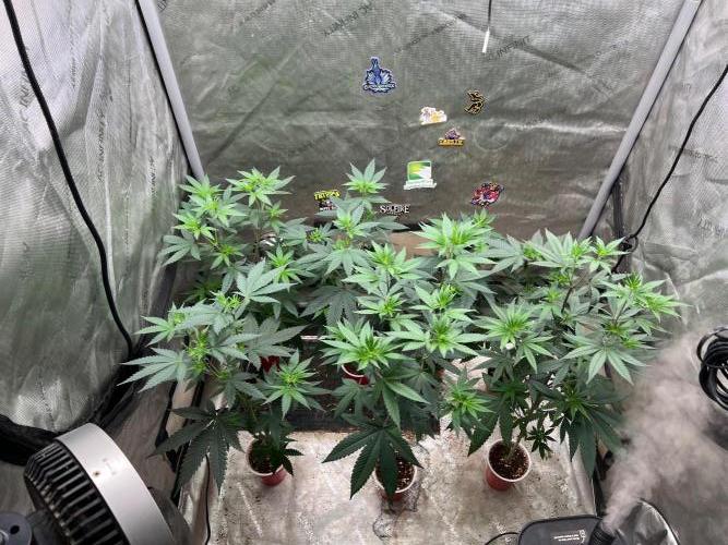 red raptor. Week 7