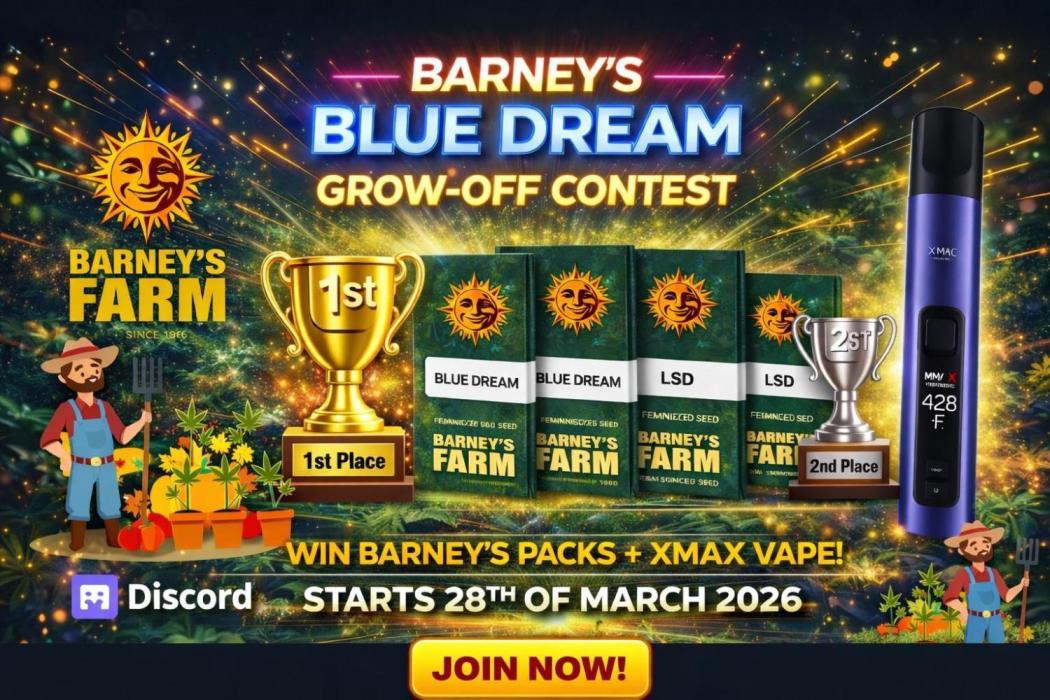 Grow Off Contest Blue Dream. Week 1