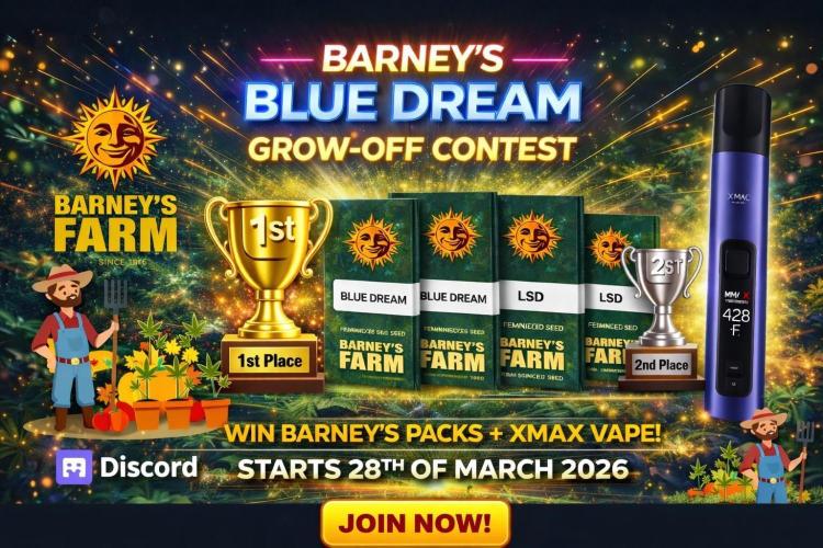 Grow Off Contest Blue Dream. Week 1