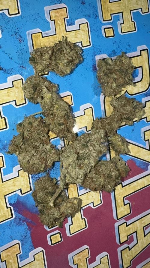 Dutch Passion. Week 14