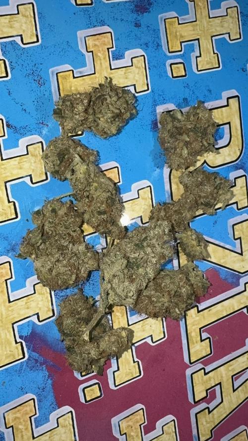 Dutch Passion. Week 14