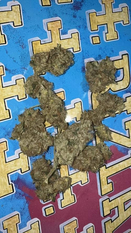 Dutch Passion. Week 14