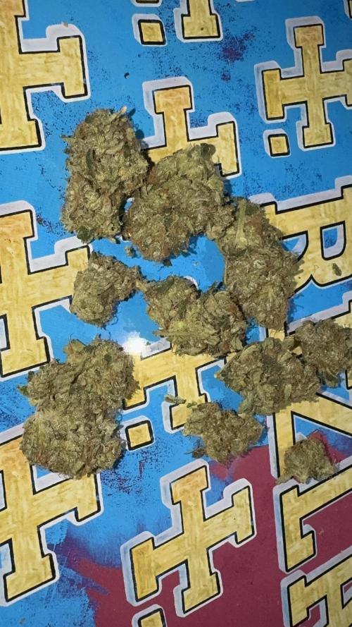 Dutch Passion. Week 14