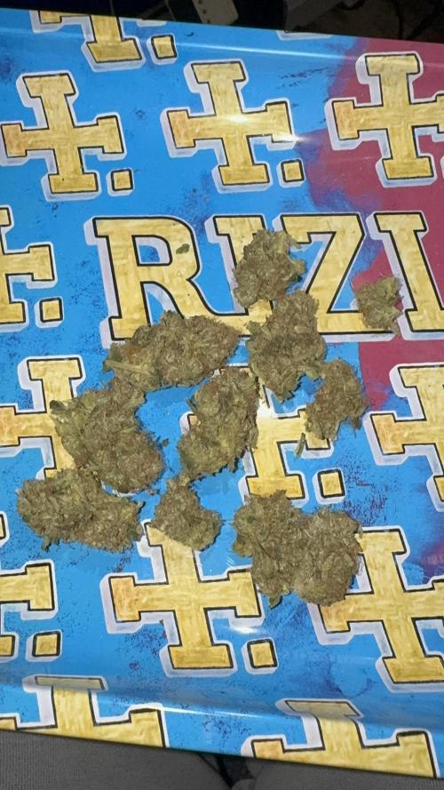 Dutch Passion. Week 14