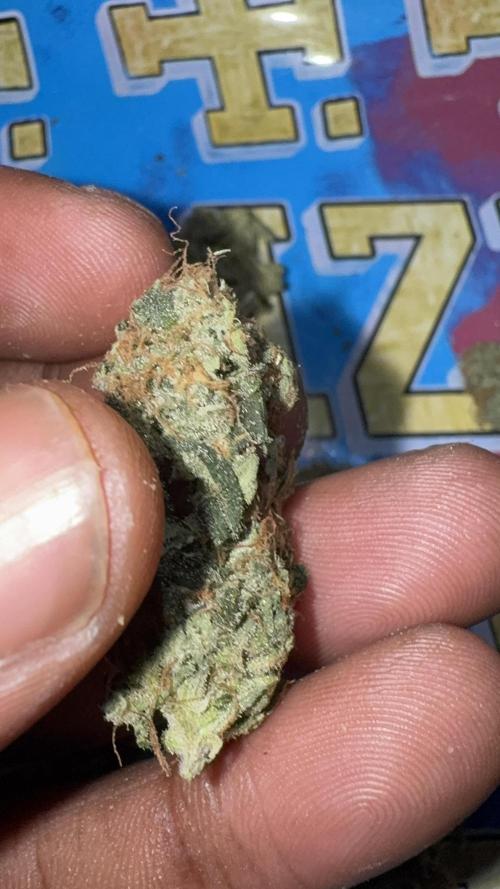 Dutch Passion. Week 14