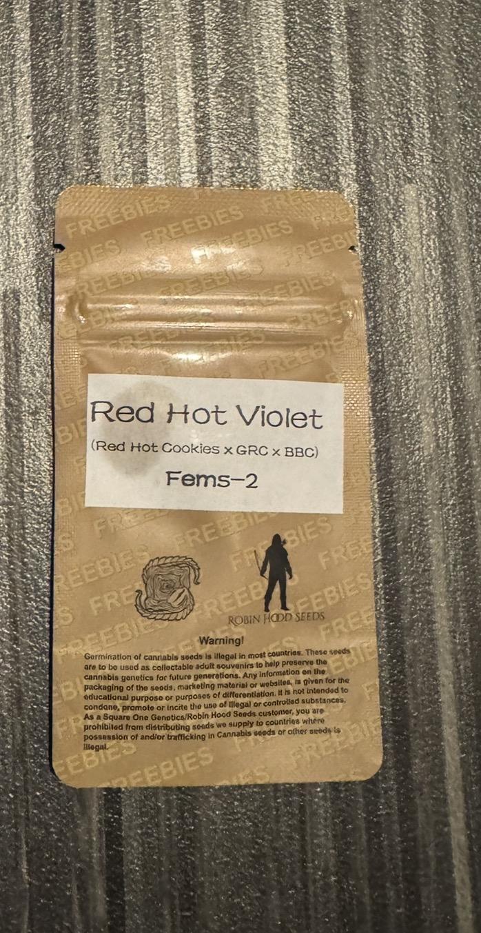 Red Hot Violet. Week 0