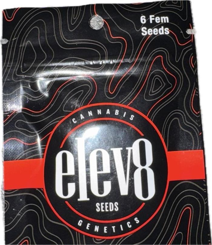 Red Matter Elev8. Week 0