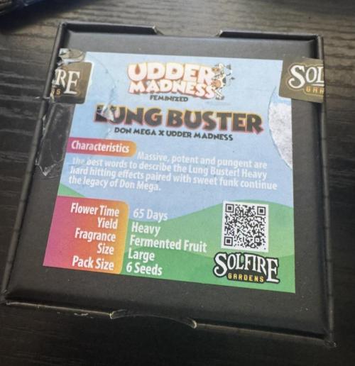 Lungbuster (time to bust in them lungs). Week 0