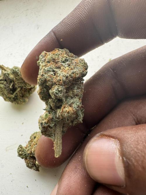 Terpgasm No Orgasm just Mutation GASM. Week 15