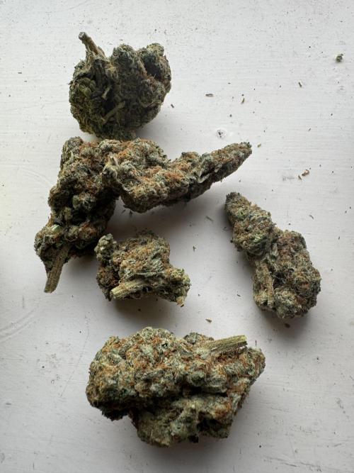 Terpgasm No Orgasm just Mutation GASM. Week 15