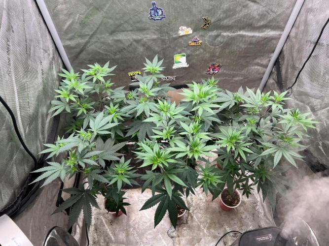 red raptor. Week 7