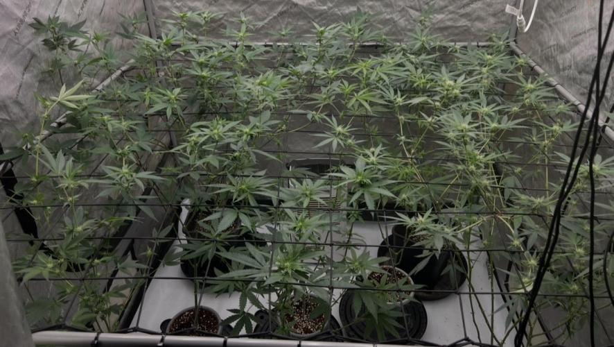 Lungbuster (time to bust in them lungs). Week 18