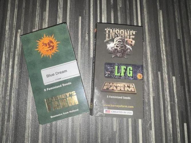 Lets Fuckin Go!!!. Week 0